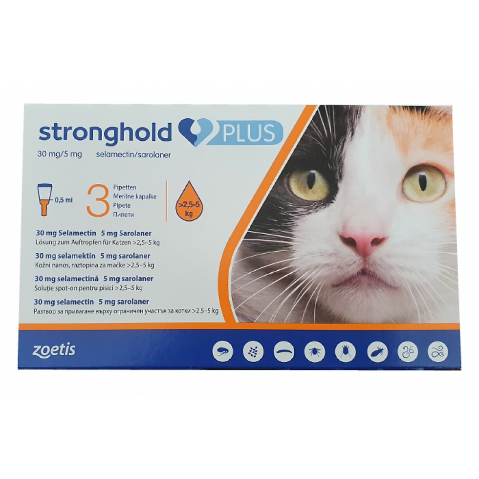 צילום נוסף של אריזת Stronghold Plus לחתולים 2.5–5 ק״ג