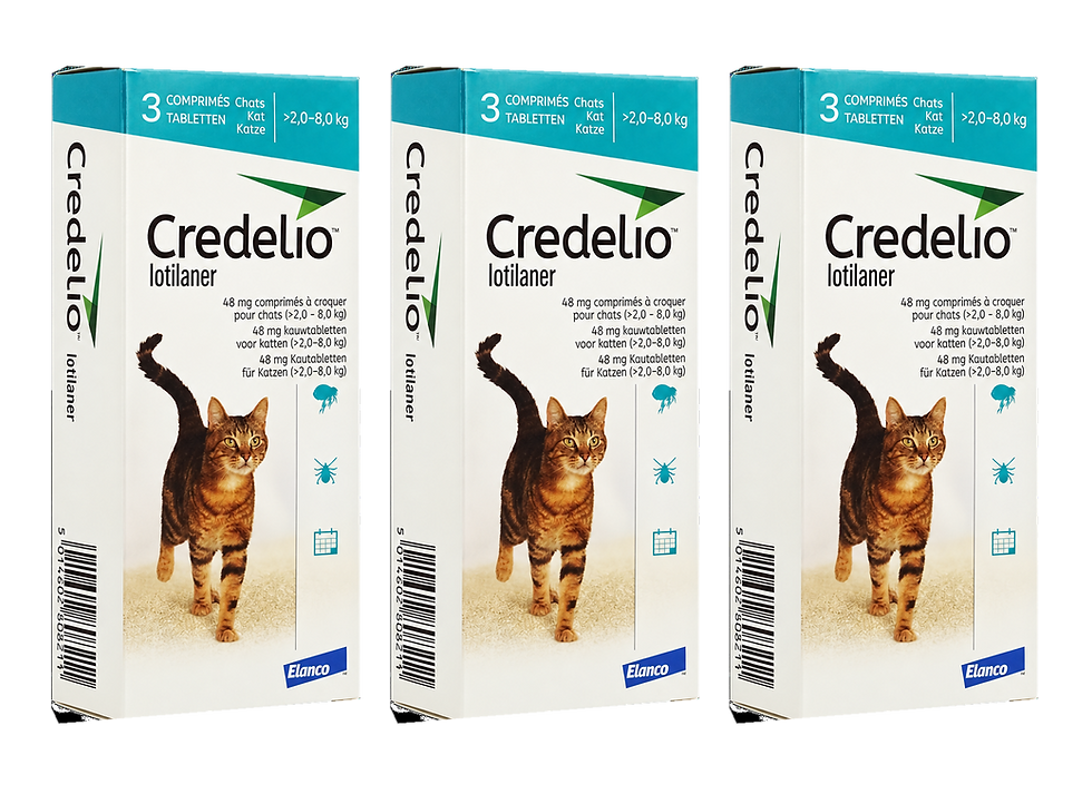 שלוש אריזות Credelio לחתולים במשקל 2–8 ק״ג, שלוש טבליות בכל אריזה ותשע טבליות בסך הכול