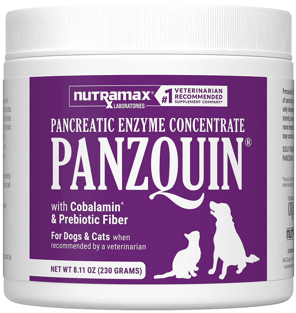 פנזקווין רכז אנזימי לבלב / Panzquin