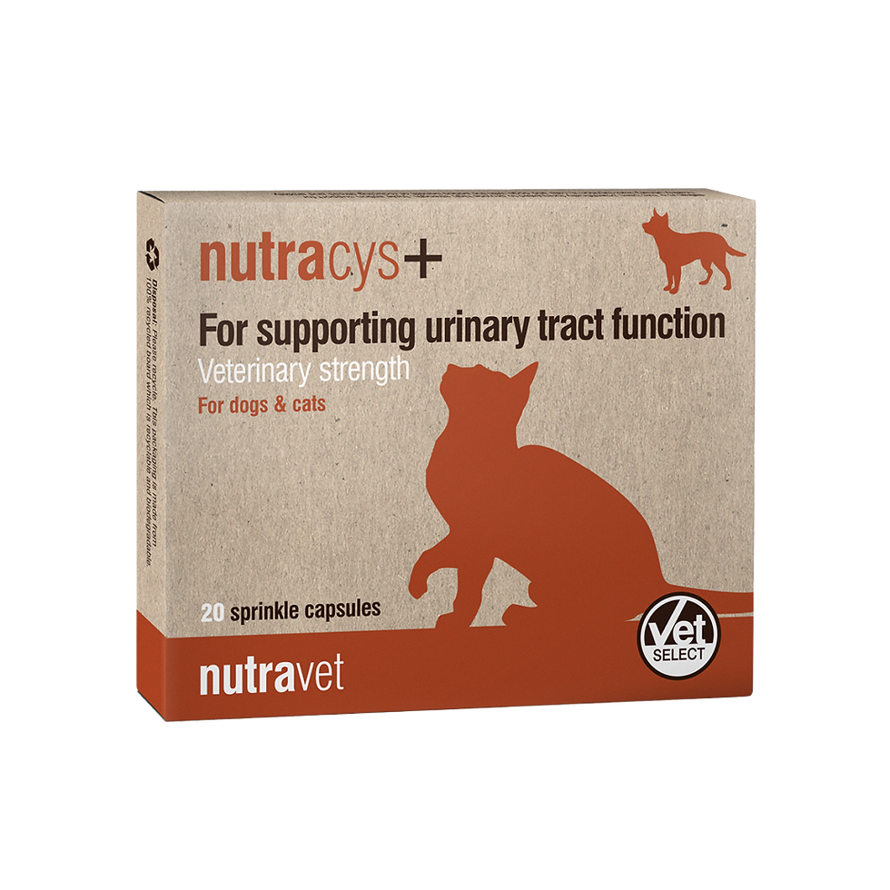 אריזת Nutracys+ לתמיכה בדרכי השתן של כלבים וחתולים במבט חזיתי