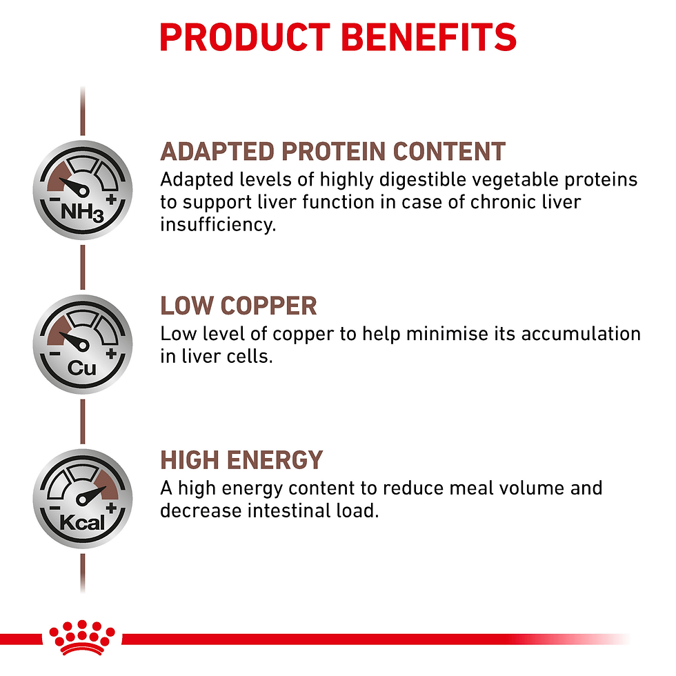 תרשים יתרונות של מזון Royal Canin Hepatic לתמיכה תזונתית בכבד הכלב