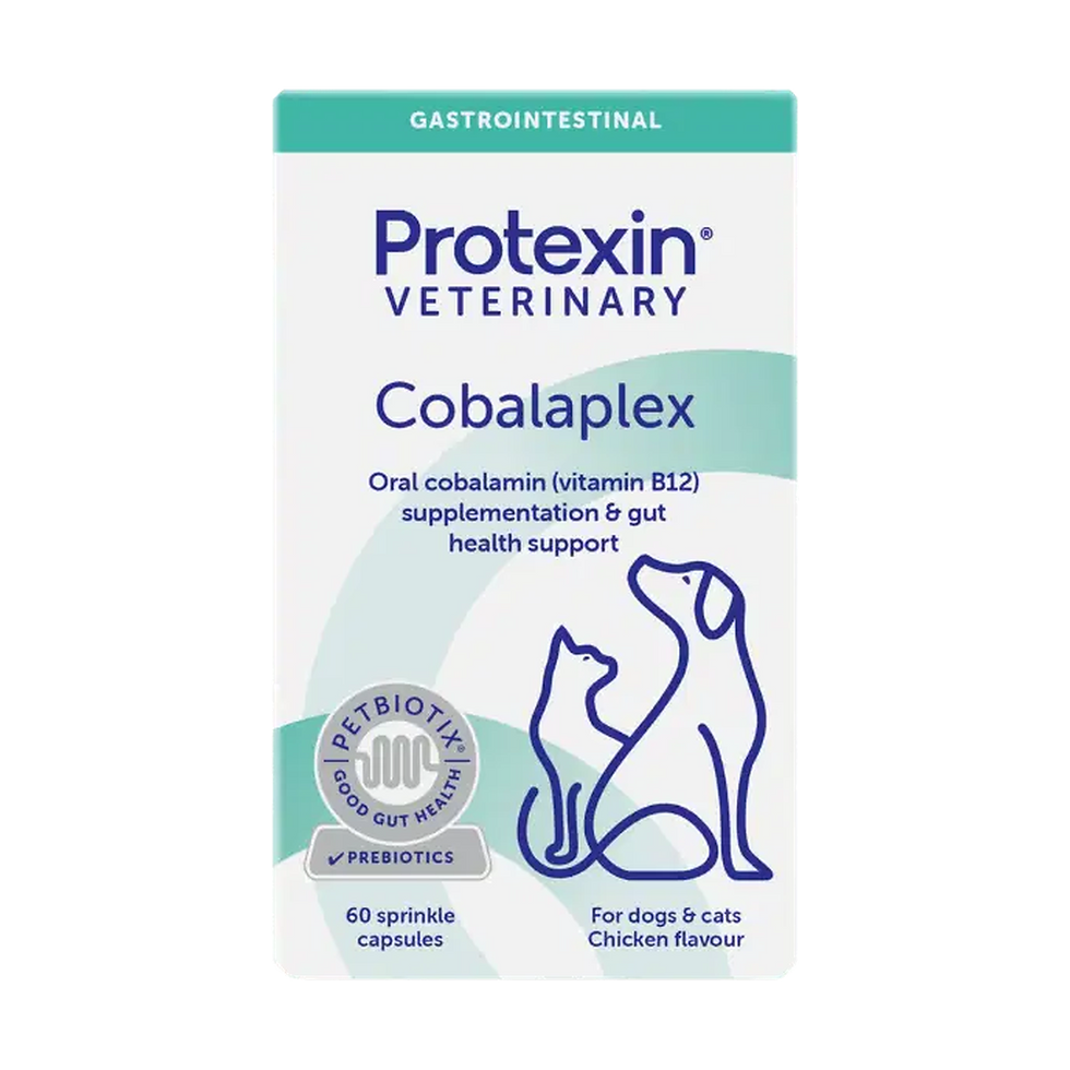 קופסת תוסף Cobalaplex של Protexin Veterinary לכלבים ולחתולים, 60 כמוסות