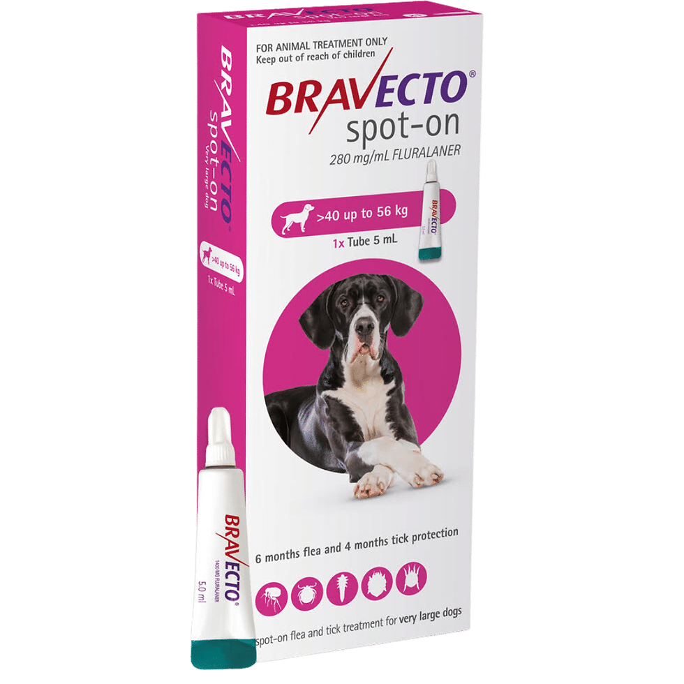 אריזת Bravecto Spot On לכלבים במשקל 40 עד 56 קילוגרם