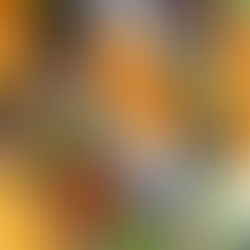 Omega Foods – Premium Catering in Chembur for Thoughtful, Intimate Gatherings