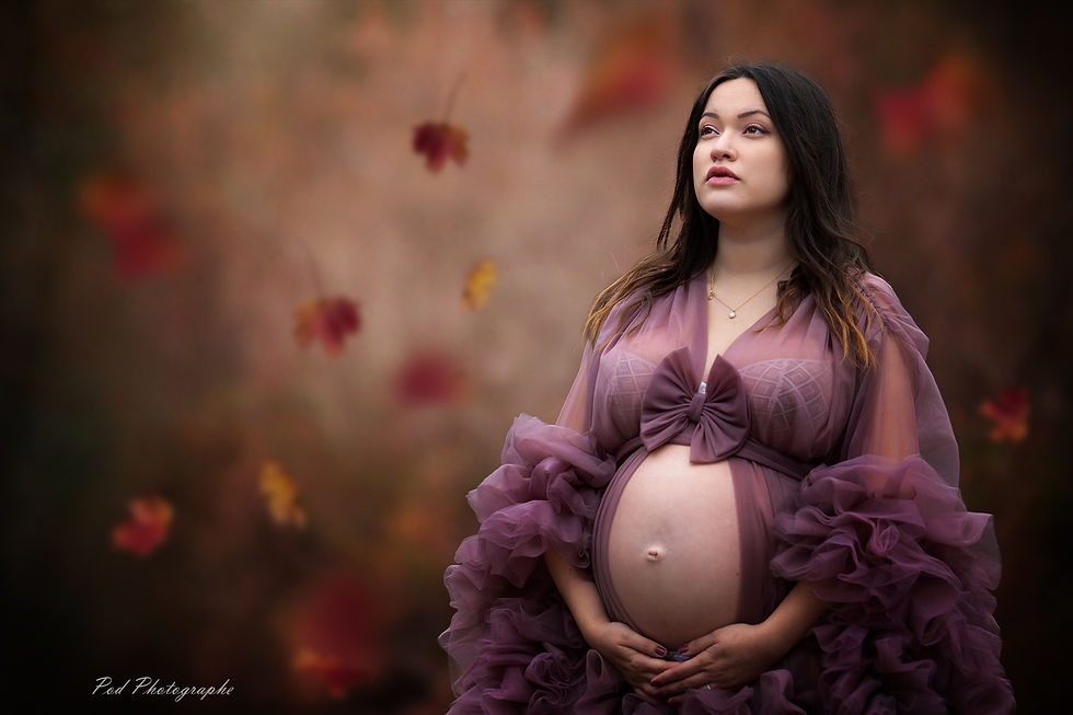 Miniature : Robe Swann Lilas
