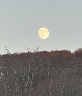 moon.jpg