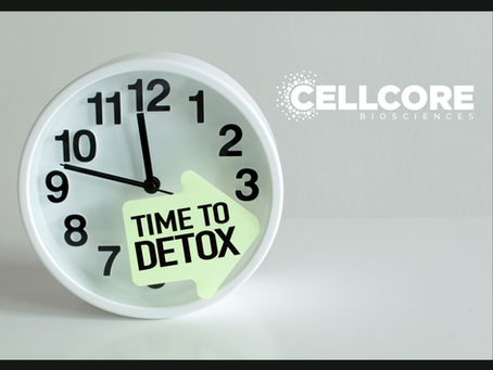 CellCore Cleanse: The Detox That Changed Everything