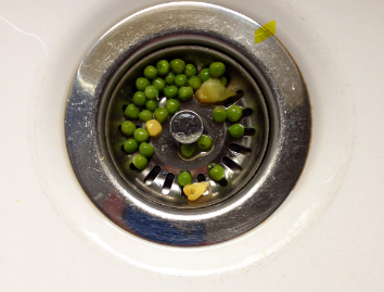 10 Tips to Keep your Drains Clear and Clog-Free.
