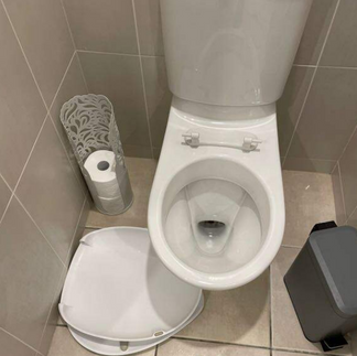 toilet-seat-broken