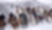 Madsen Family Rounding Up In The Snow.jpg
