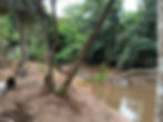 Rio Jaguary
