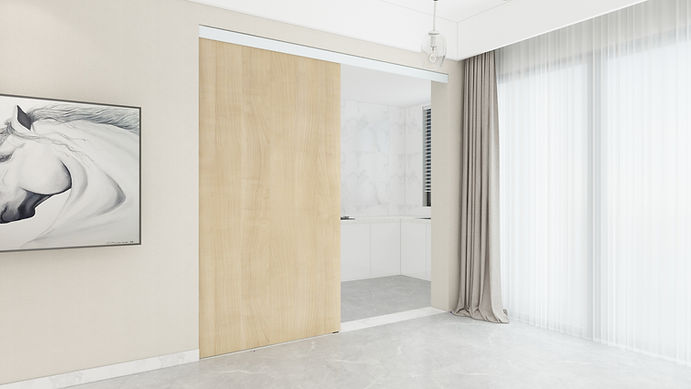 door with floor guide black.jpg