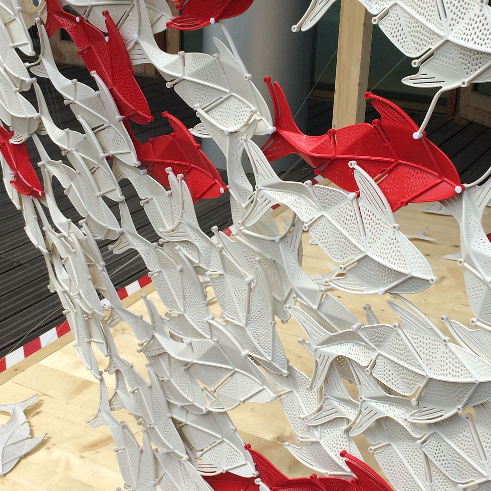 Fish Texture - Tortona 37