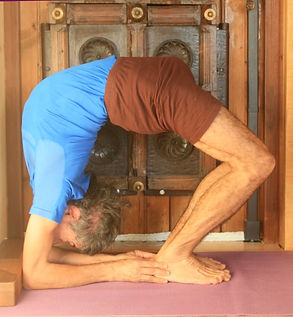Chakra-bandhasana.jpeg