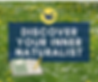 Hirundo-Maine-Summer-Camp-Week-4.png