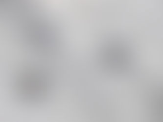 Do You Know This Toe? Tracking Animal prints in the Snow