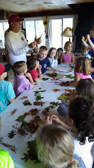 27081448119_ea3b2f1694_o (1).jpg