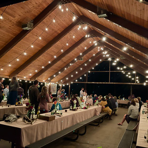 Chris Park Campground Pavillion Lights