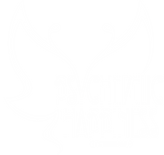 PsyHappiness_Logo_white_trans.png