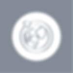 Website Blue - HC - Eco Action G.png
