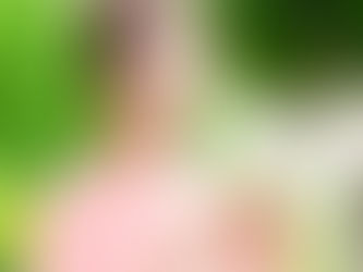 はじめまして。