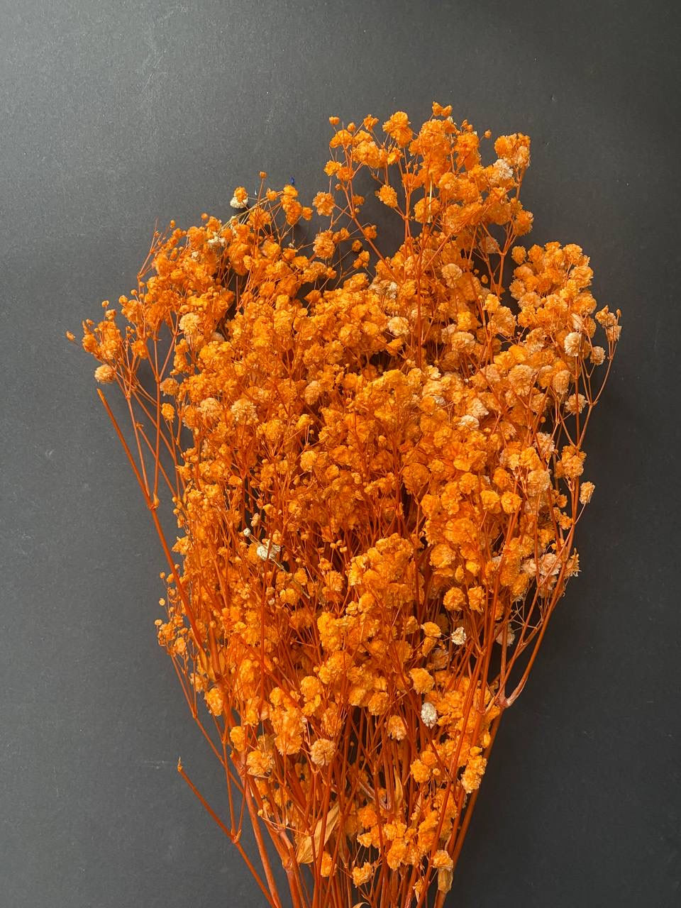 Thumbnail: Gypsophila/ baby breath