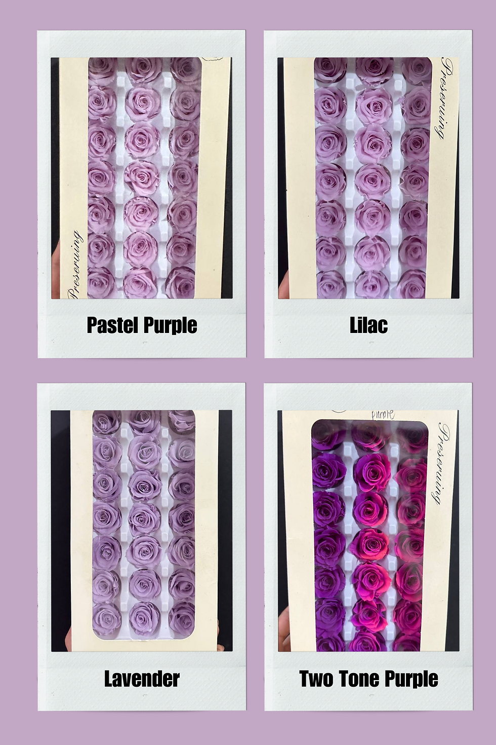 Thumbnail: Preserved roses by 21s