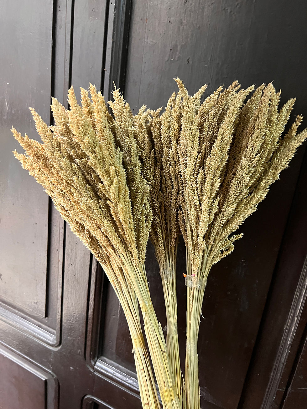 Thumbnail: Local Trigo