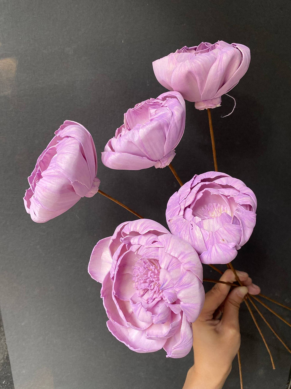 Thumbnail: Sola Peony ( per stem)