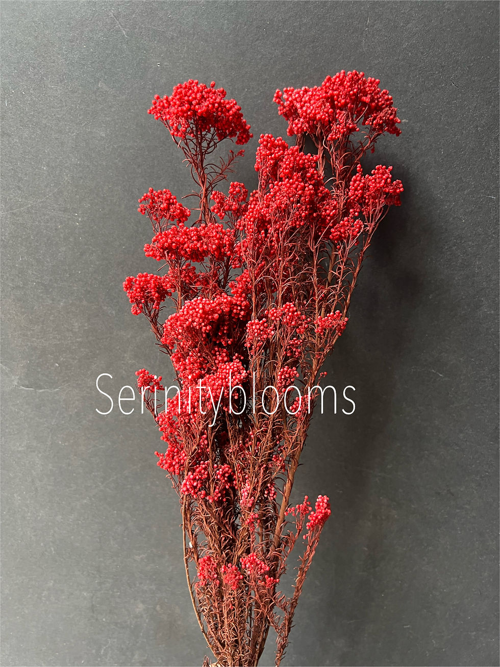 Thumbnail: Rice Flower