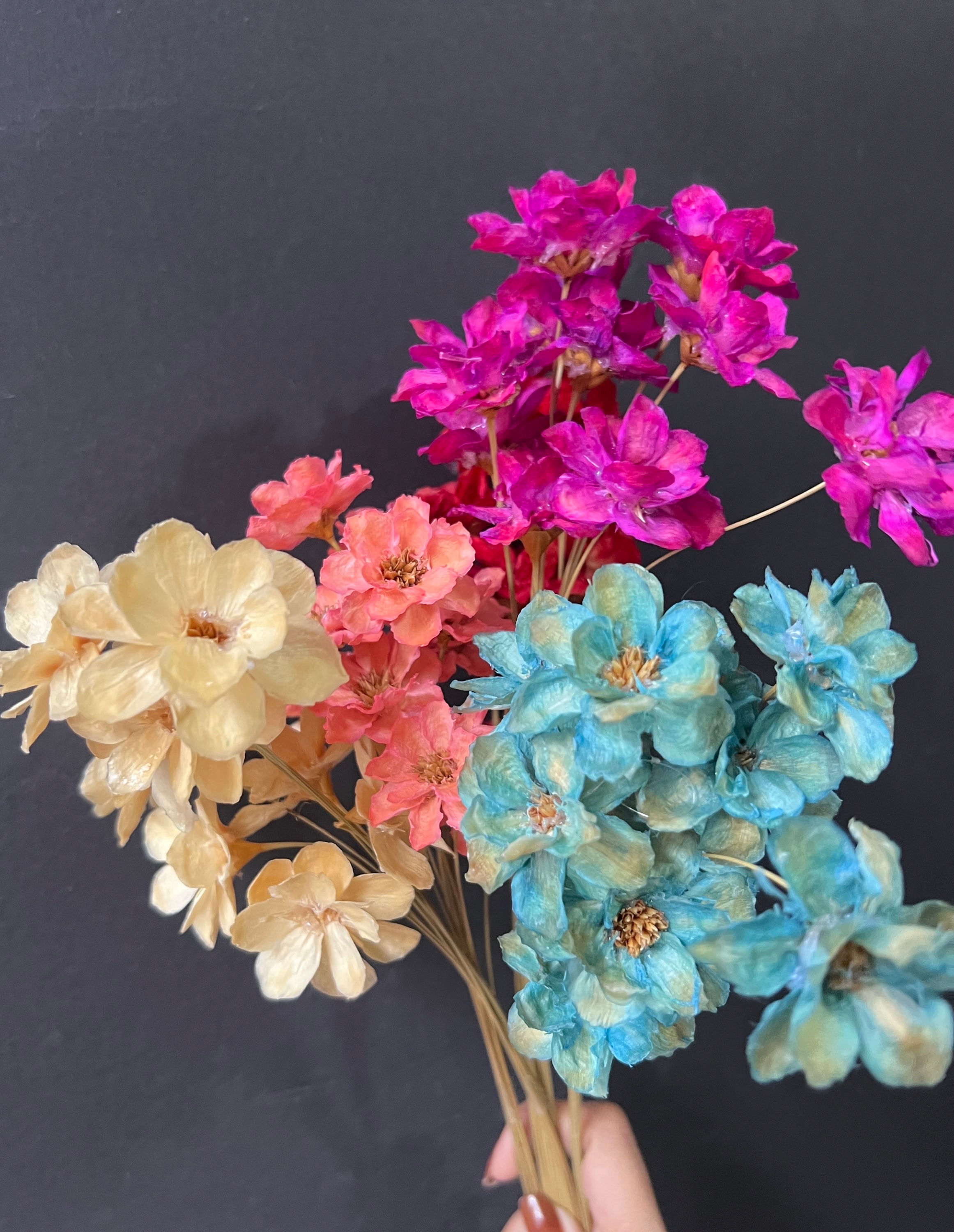 Primrose  (10flowers) 