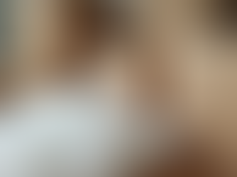 Fast, Careful, and Reliable: Why Homeowners Trust Palmetto Specialty Transfer During Unexpected Moves