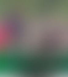 کراچی کنگز نے ٹیم سے نکال کر غلطی کی ؟ محمد عامر کی دبئی میں جاری ٹی 10 لیگ میں اپنی باؤلنگ سے تباہی