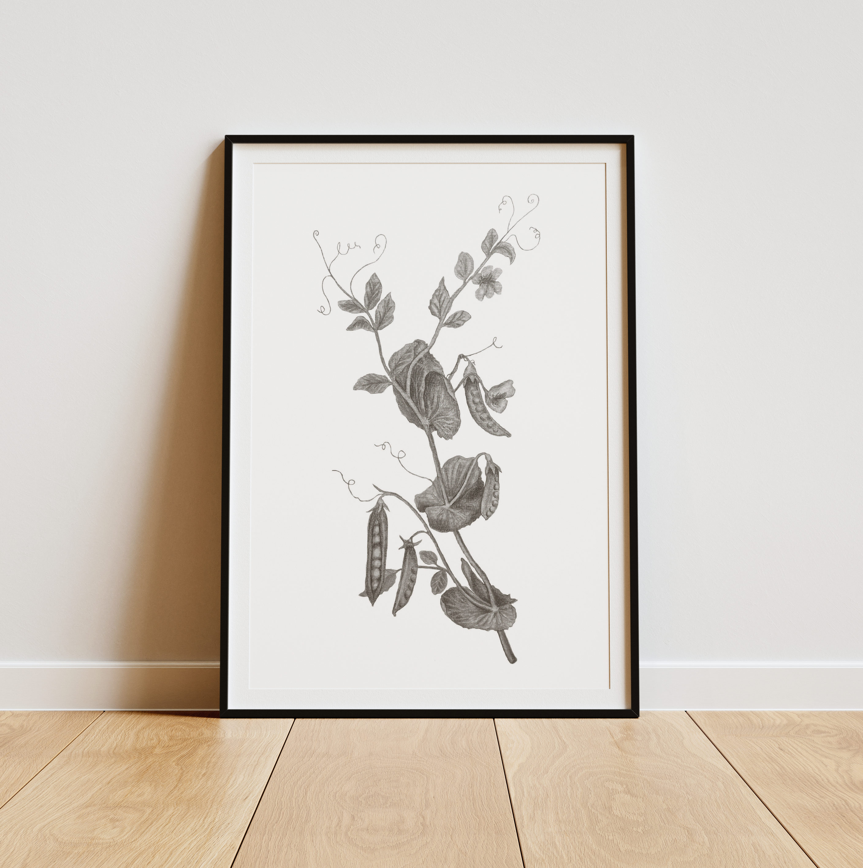 Snow Pea Plant Print