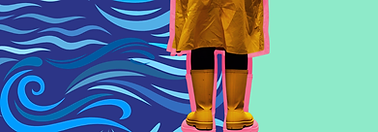 LFDSL_VignetteSiteWeb (1).png