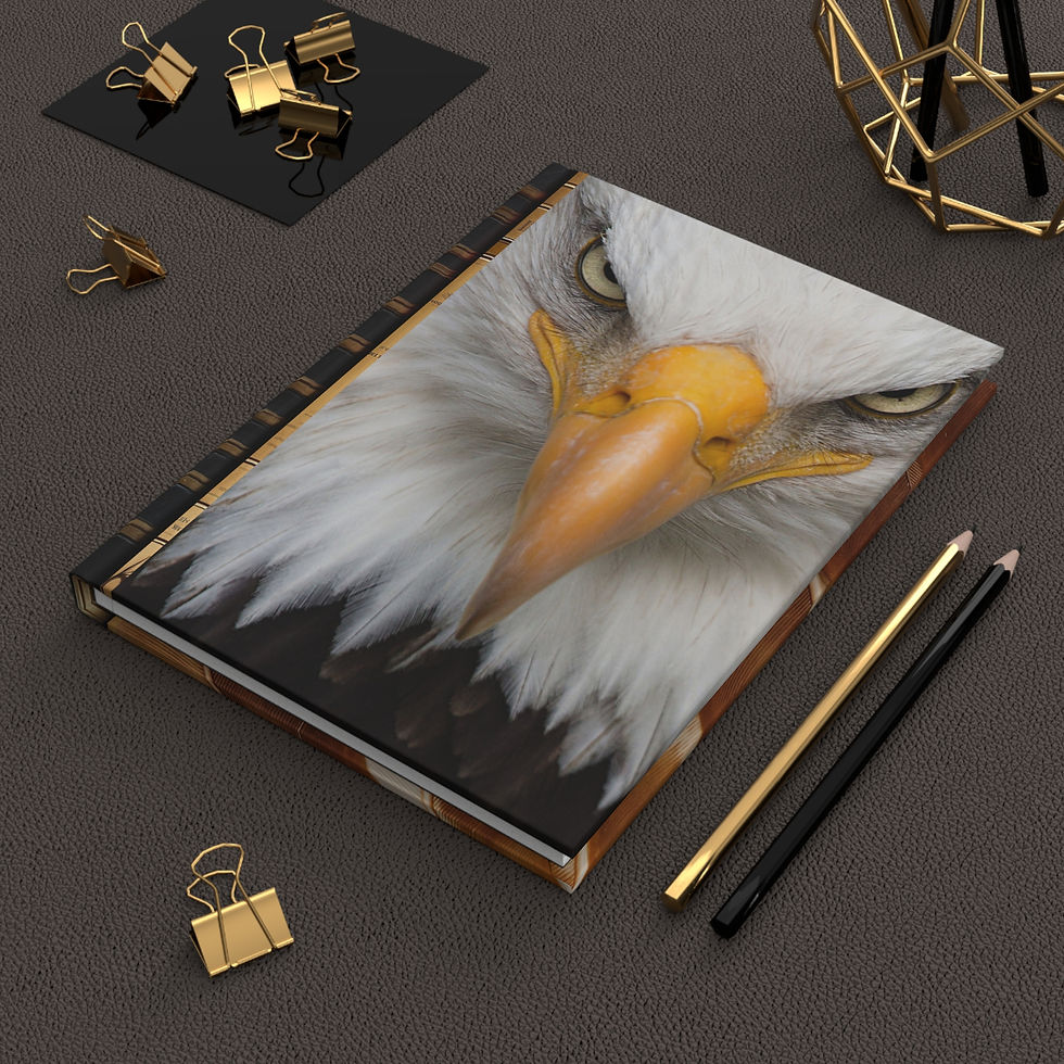 Thumbnail: BOLD - Divine Design Collection - Hardcover Journal Matte