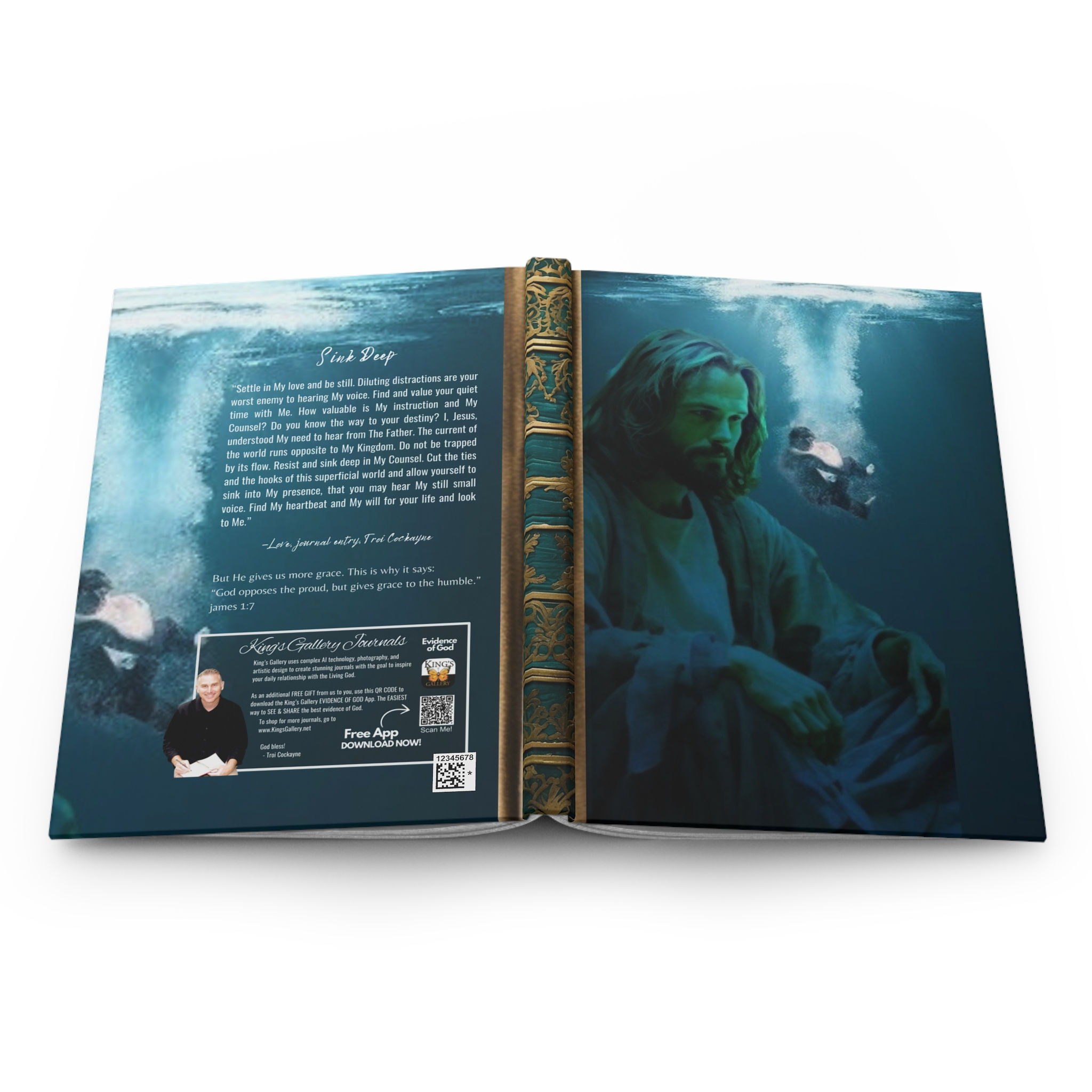 SINK DEEP - Classic Collection - Hardcover Journal Matte