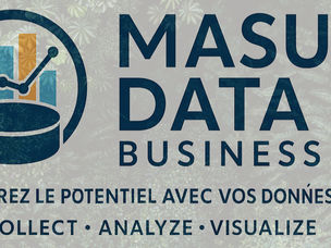 🌏Donnez vie à vos données avec la visualisation cartographique chez Masu Data Business📊