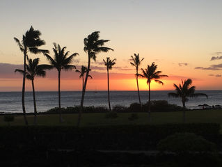 Hot, Humid & Headwinds in Honolulu