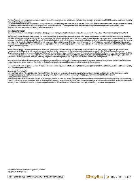 Dreyfus Monthly Summary (OLD BRANDING)1.