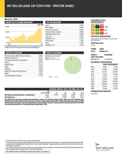Factsheet example 5.jpg