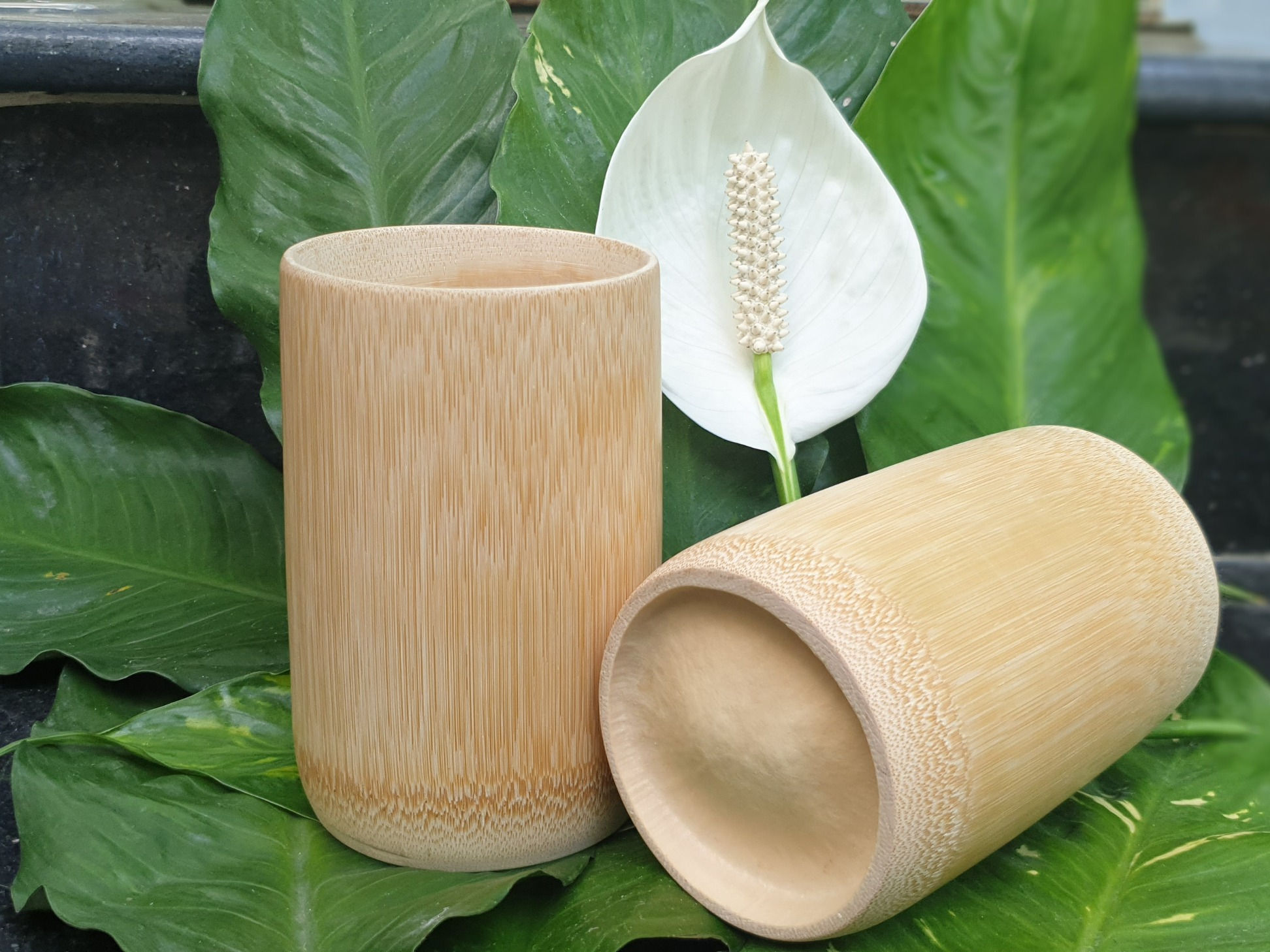 Bamboo cup