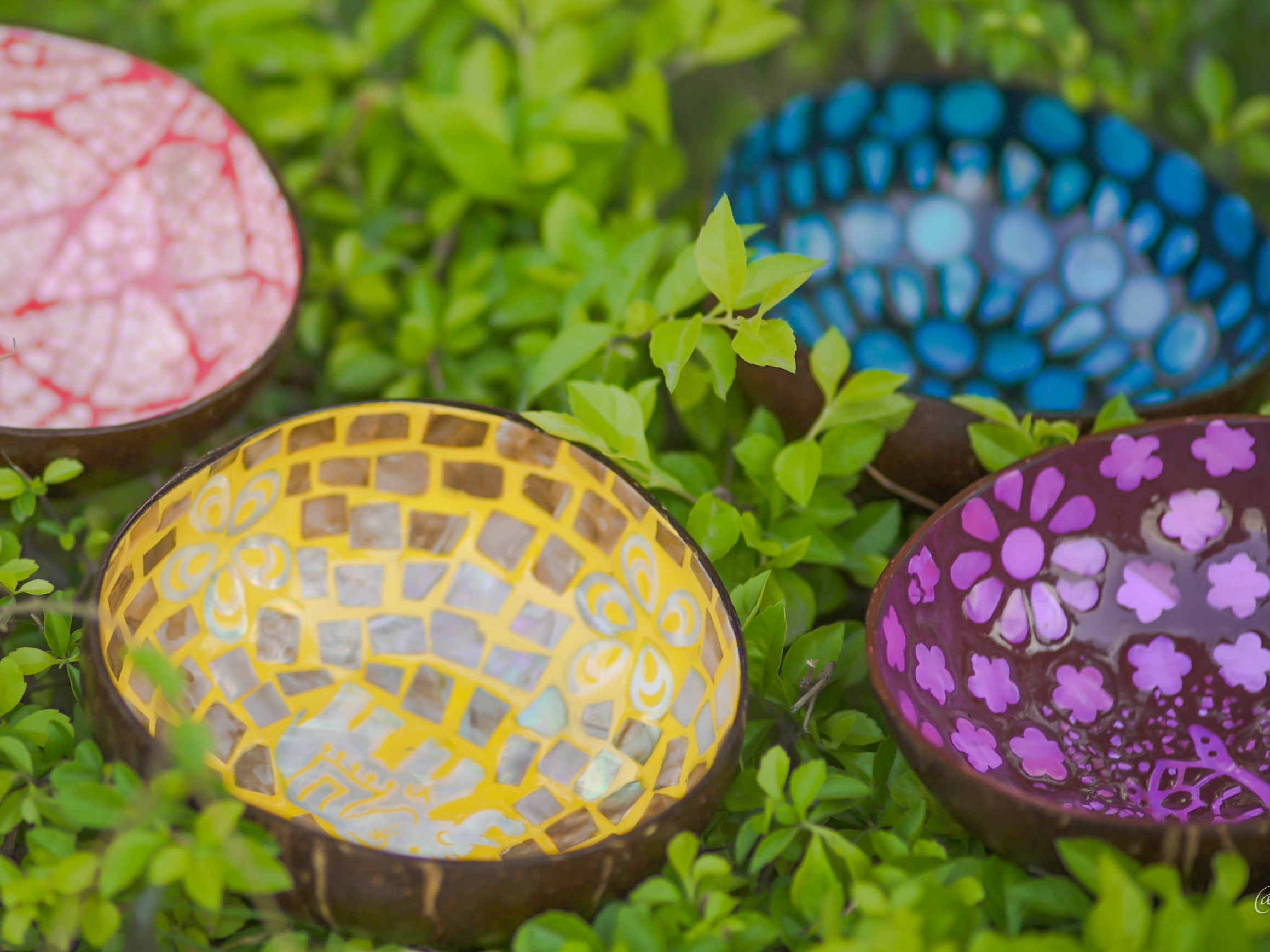 Coconut shell bowl