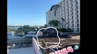 巴哈马三天旅程的Vlog--Three