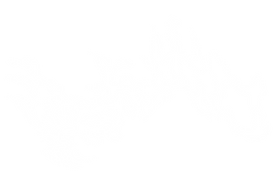 outlet drift logo png - white-01_edited.