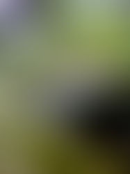 summer staples in...