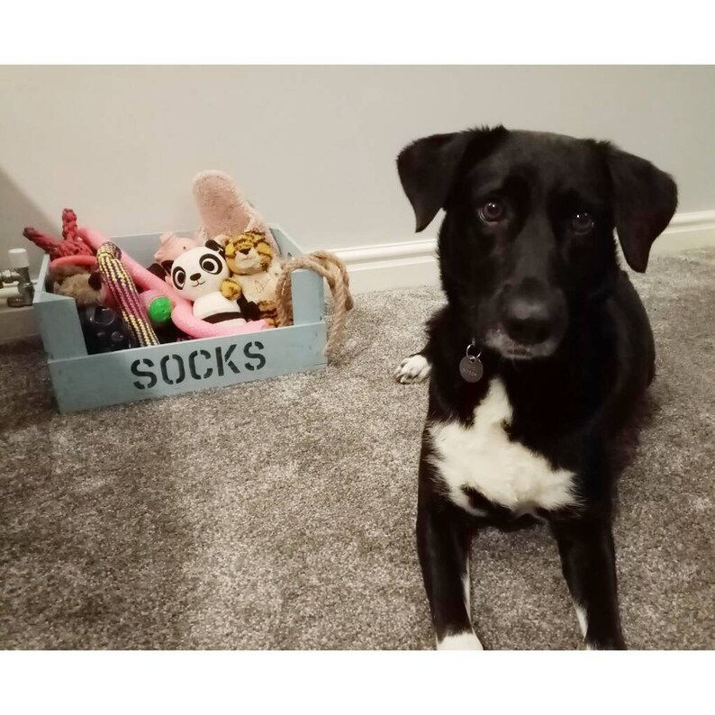 Thumbnail: Personalised Wooden Pet Treat Storage Crate