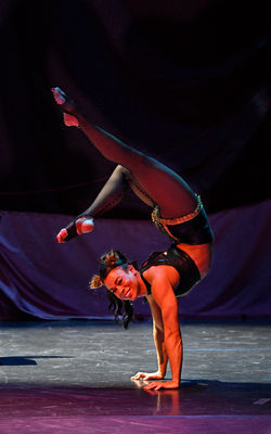 Rouge Contortion Cat