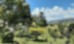 garden room photo.jpg