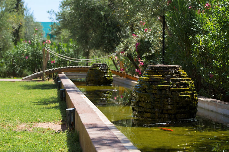 bassin-japonais-jardin-domaine-de-tameslohte